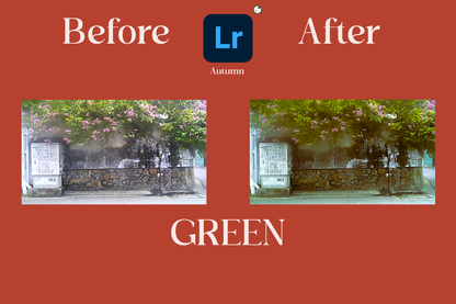 Color of Life (8 presets)