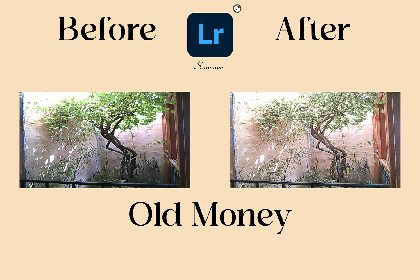 Color of Life (8 presets)